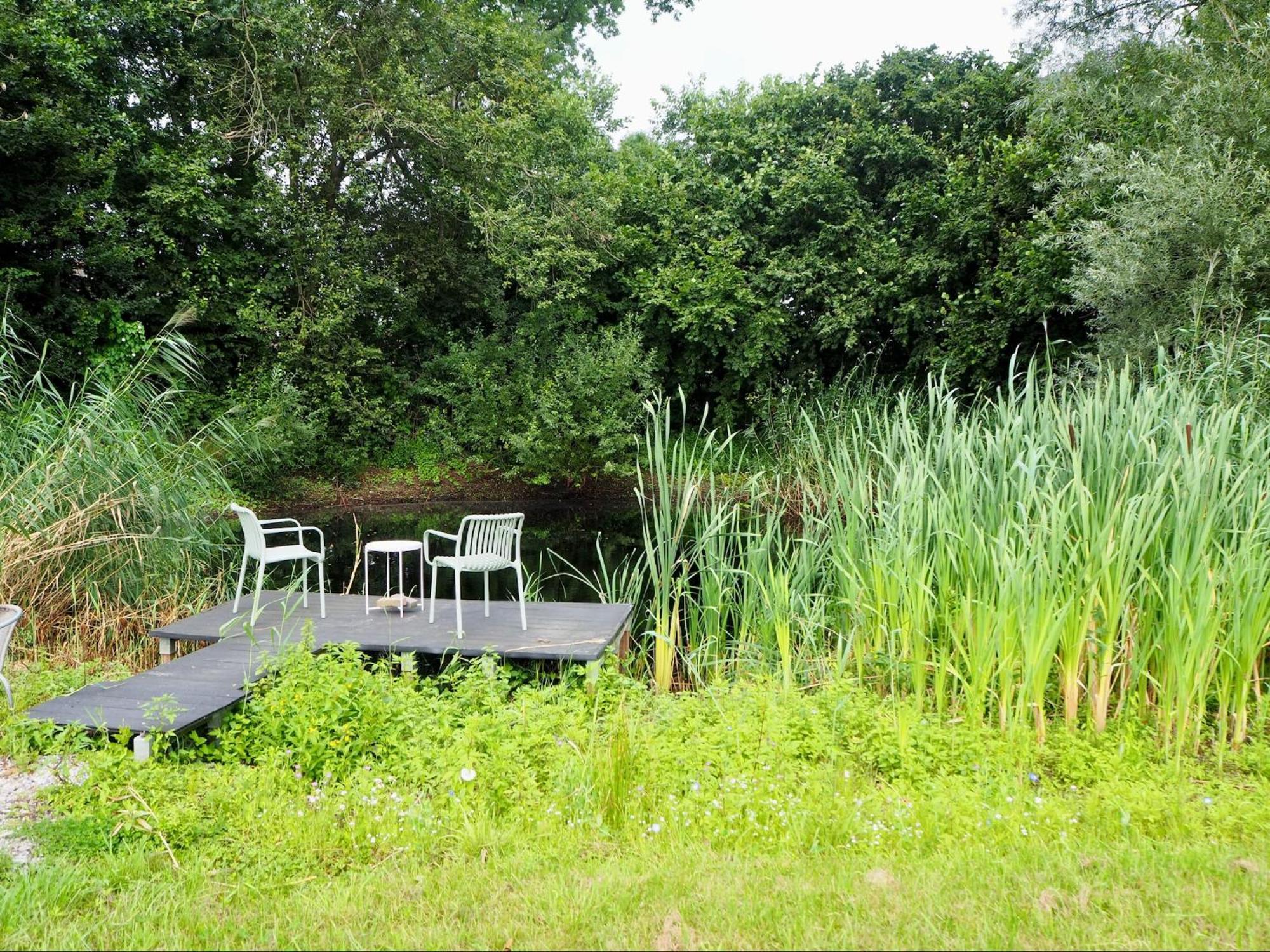 Bnb De Peelvos Deurne Luaran gambar